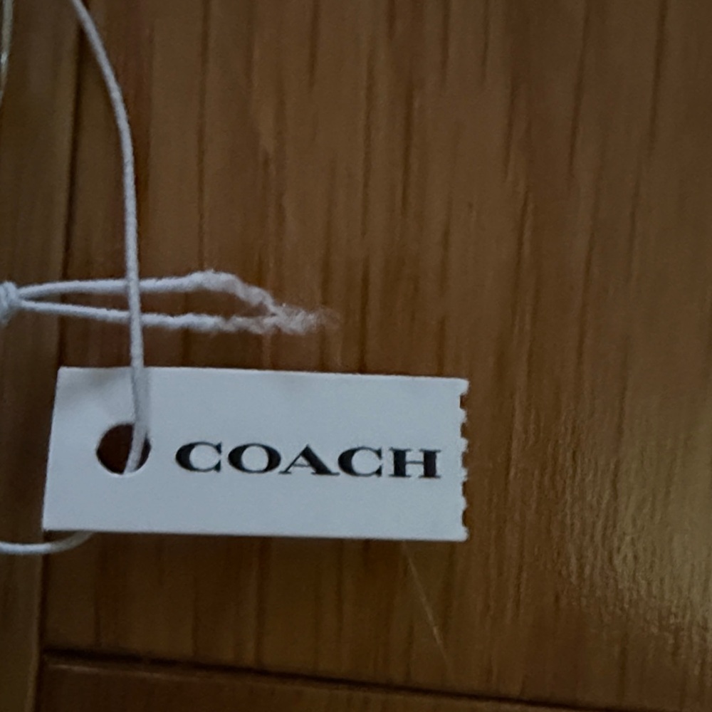 Coach Pearlescent Glitter Heart-Shaped Purse Mirror with Dust Bag NWT - Picture 7 of 7